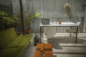 Cool office space with plants