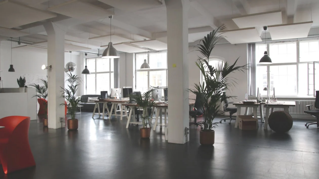 An office with desks and plants