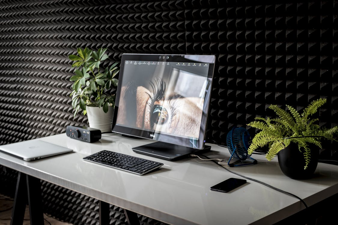 A desk with a monitor and a plant