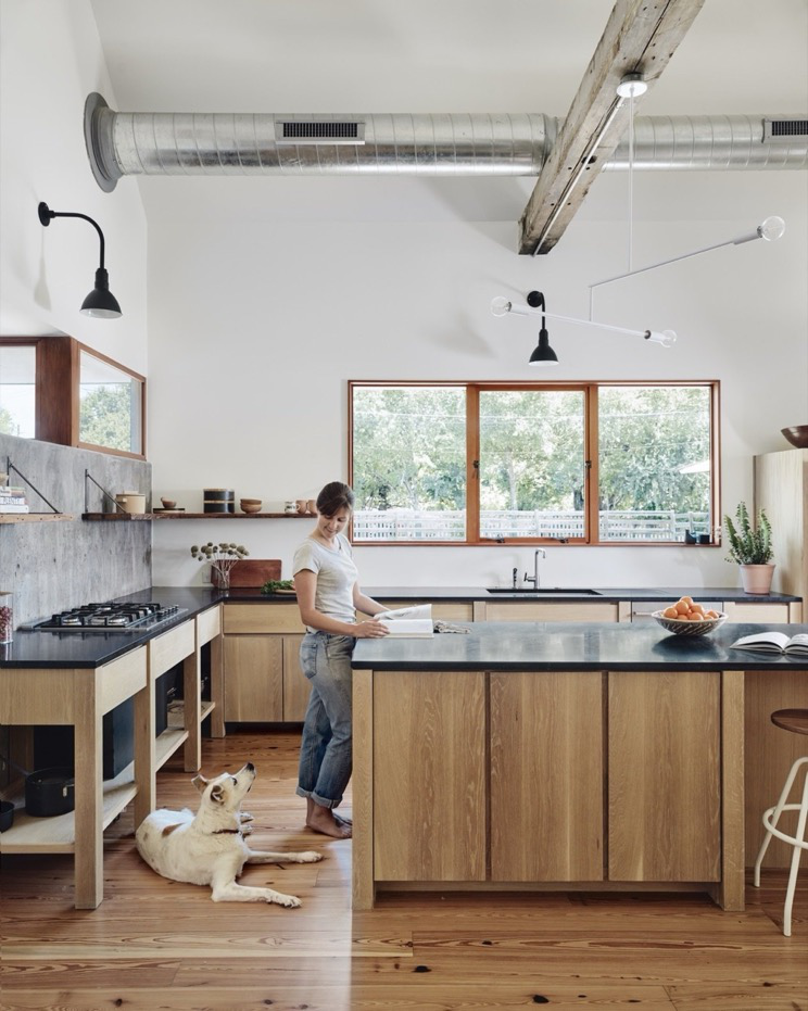 A woman and her dog in a modern kitchen